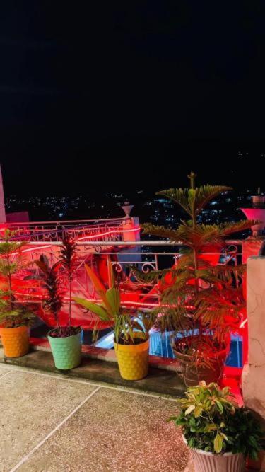 Hotel Solan Regency Esterno foto